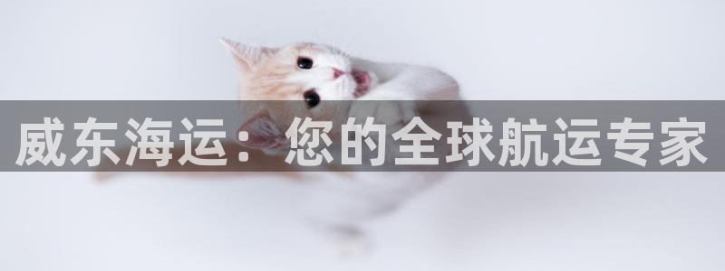 公海船赌网站是多少