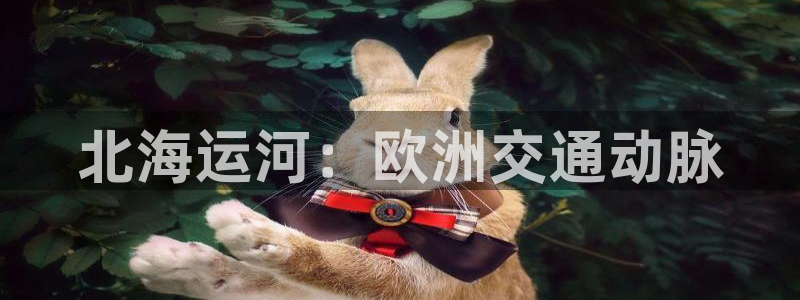 去公海赌博