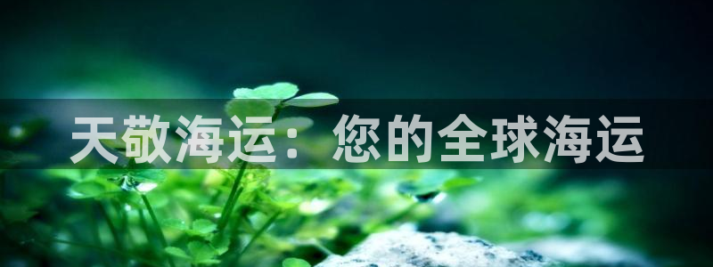 公海赌赌船贵宾会员检测路线