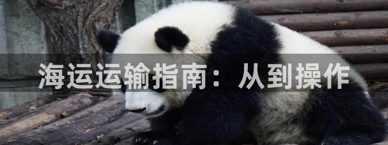 欢迎您到公海赌来