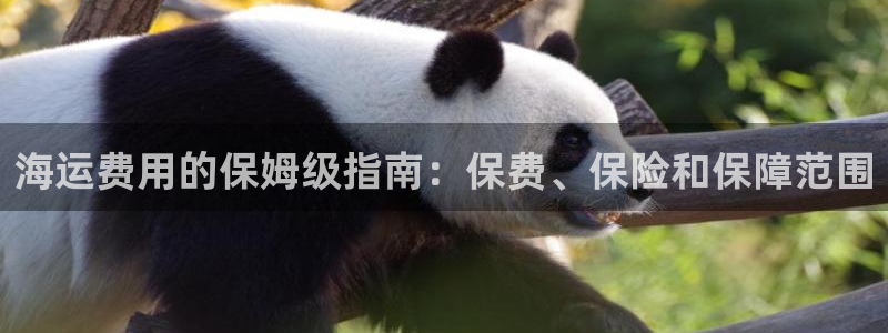欢迎来公海欢迎来赌船!