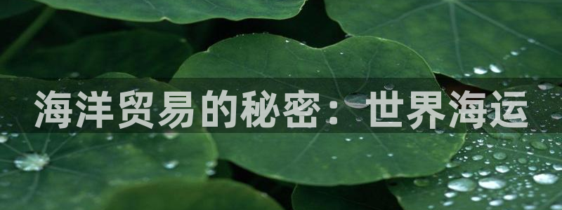公海赌钱算合法收益吗