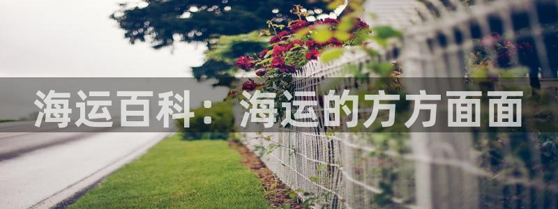 公海赌赌船