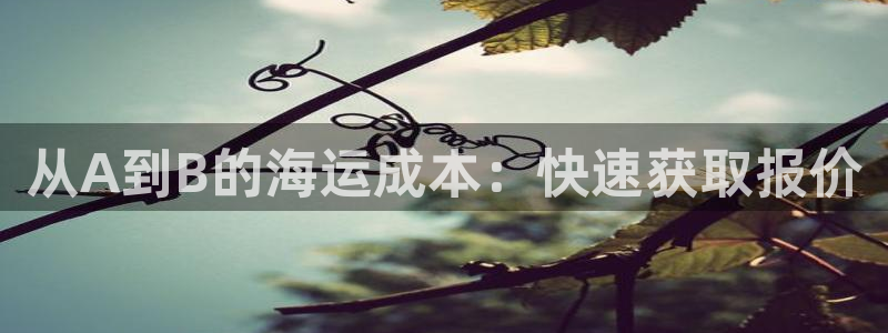在公海赌博不违法吗