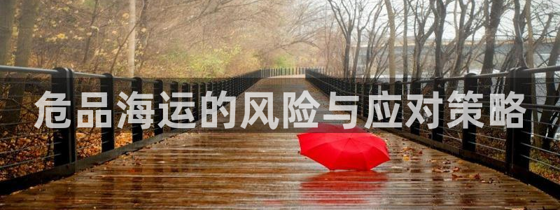 公海赌赌船jcjc710