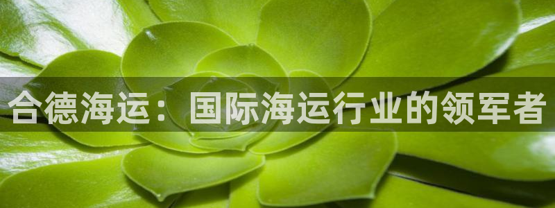公海赌赌船官网是真的吗