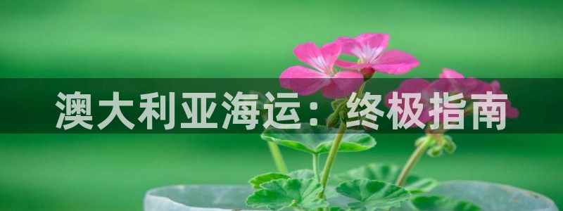 在公海赌博犯法吗