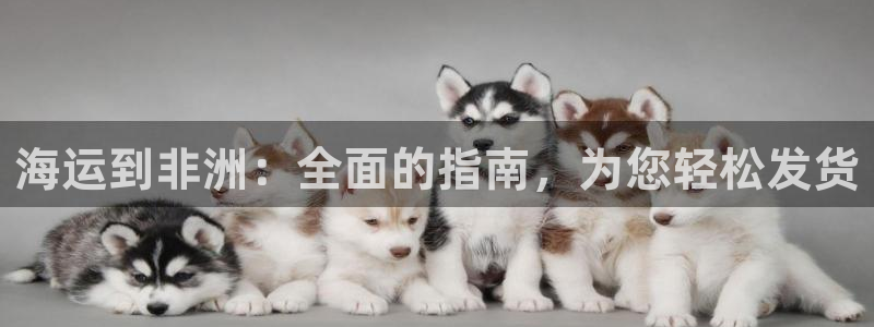 公海赌钱违法吗
