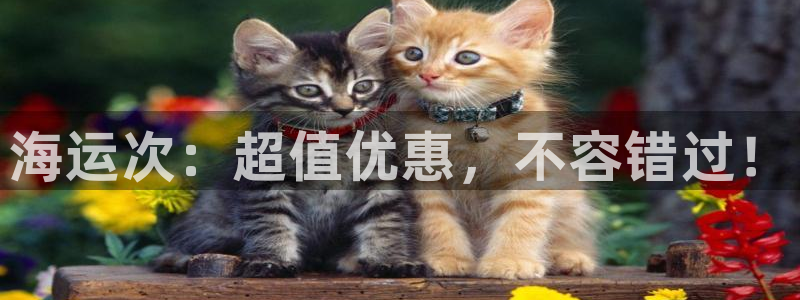 公海赌船怎么样
