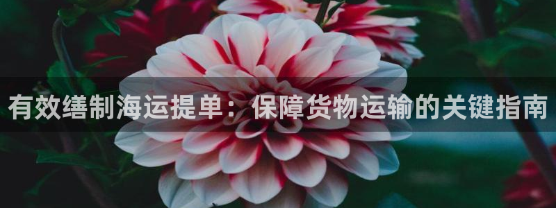 公海赌船吧
