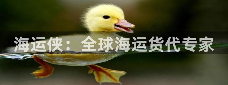 公海赌赌船官网710忘记账号了
