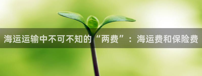 公海赌赌船维护多久