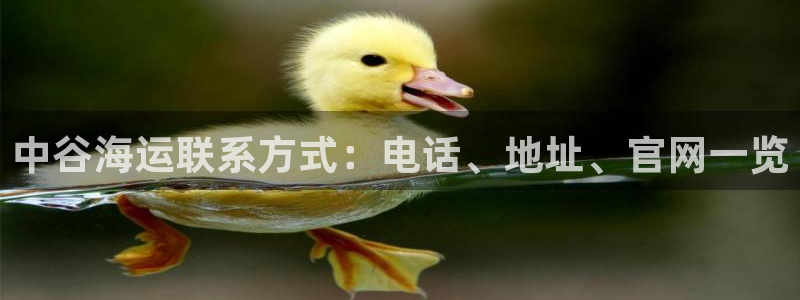 公海赌博怎么处理