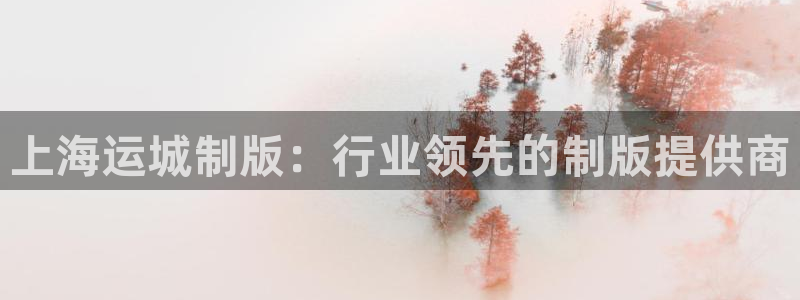 公海赌赌船官网图标