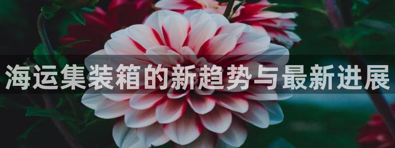 公海赌博犯法吗