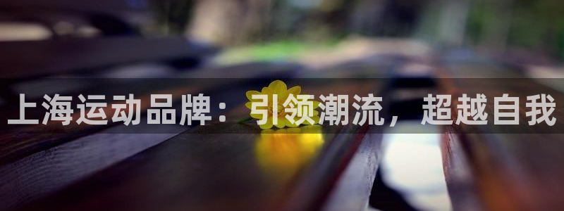 欢迎来到公赌船
