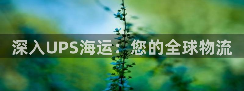欢迎来到公海手机版710