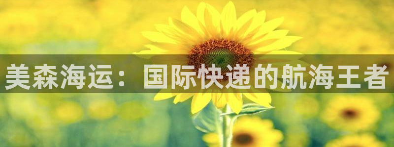 欢迎你来到公海欢迎你来到