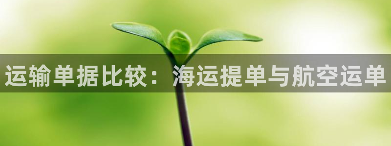 公海赌船怎么样