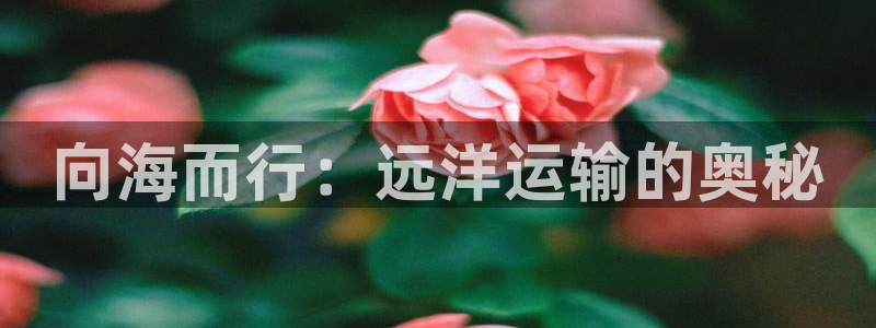 公海赌船贴吧