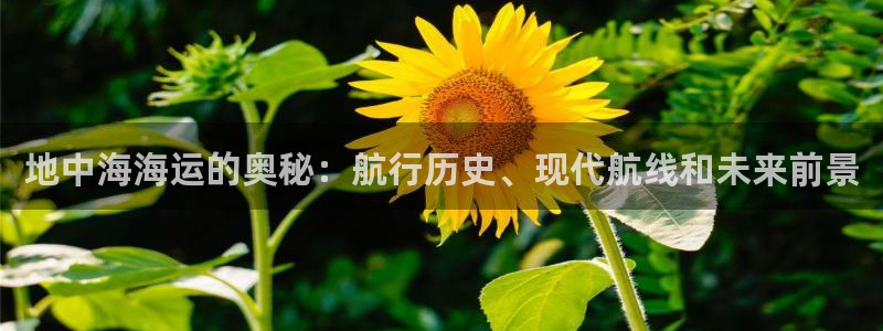公海赌博是什么意思