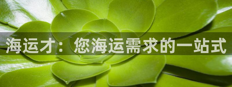 欢迎来到 公园