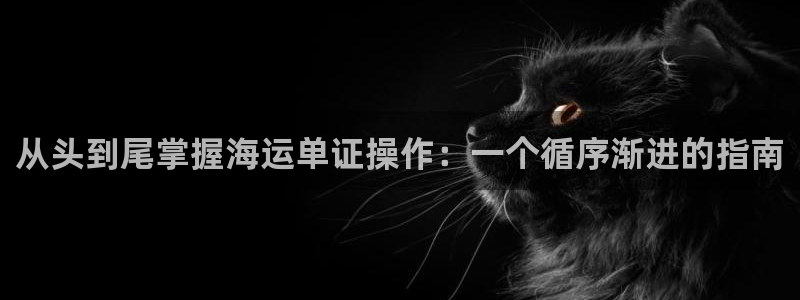 公海船赌网站是多少