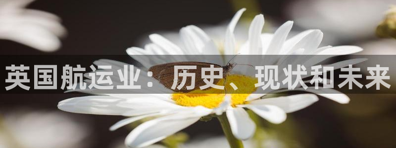 公海赌赌船官网是真的吗