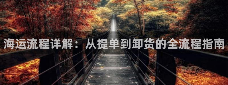 欢迎来到海牛星简谱