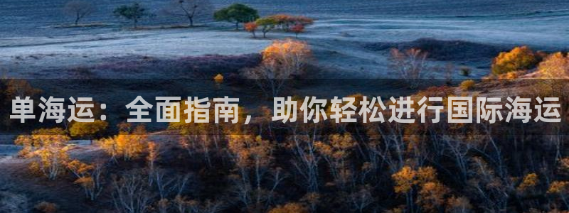 去公海赌博合法吗