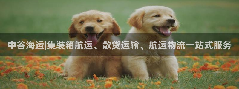 欢迎来到海边