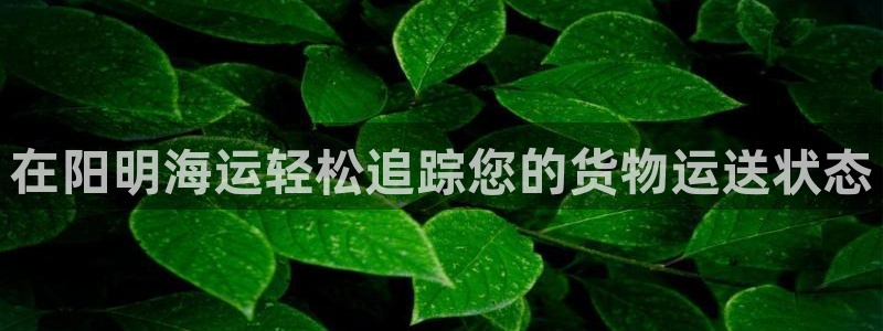 公海赌船网址710