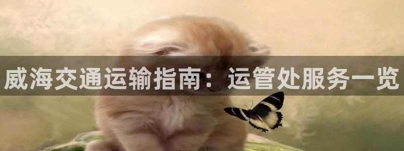 去公海赌博