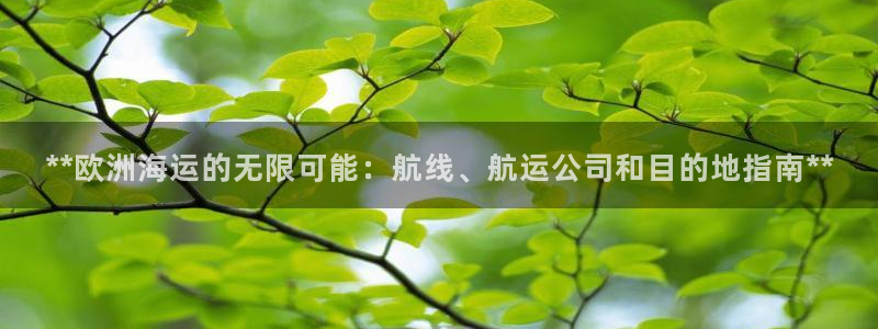 公海赌赌船最新版本更新内容