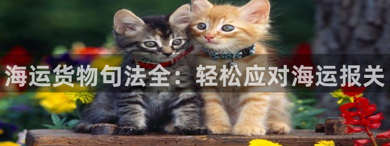 欢迎您来到公海客服