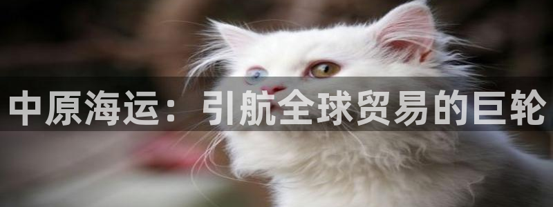 欢迎来公海欢迎来赌船!