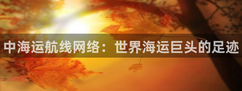 欢迎来到海边