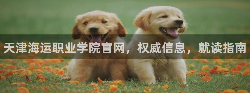 公海赌船网址710