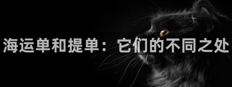 公海赌钱违法吗