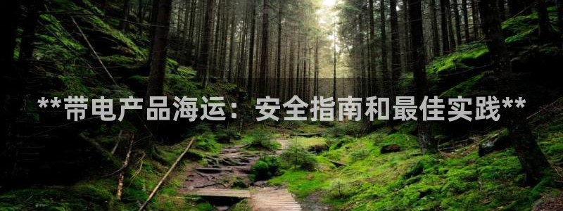 710公海赌赌船有总代理吗